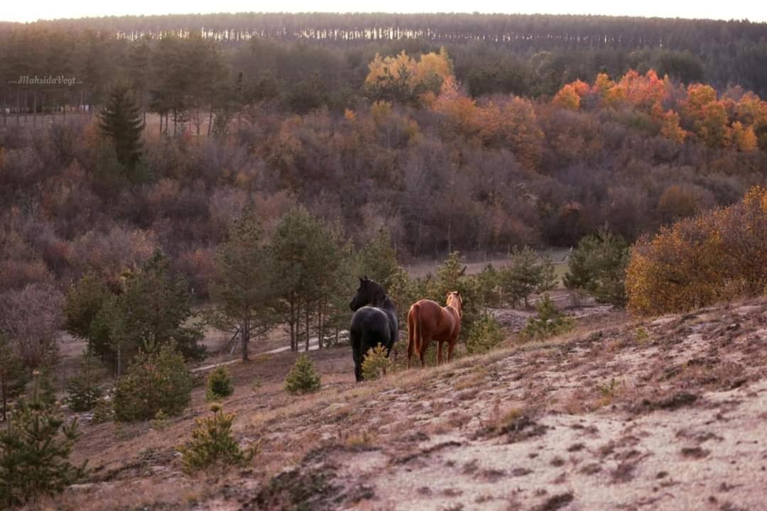 Ranc Crna Stina Villa Livno Eksteriør bilde